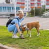 Пелюшки для собак Purlov 60x60 см 50 шт + пакети (5900779943148)