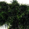 Гірлянда ялинкова Ruhhy 6 м Green (5900779944848)