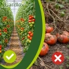 Кліпси для рослин Gardlov 108 шт (5900779946866)