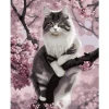 Картина по номерам Котенок Maaleo 40x50 см (5900779947870)