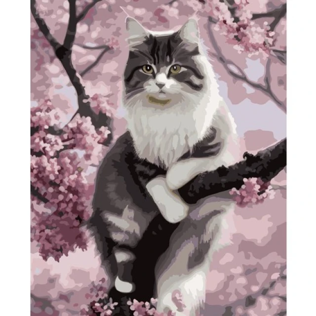 Картина по номерам Котенок Maaleo 40x50 см (5900779947870)