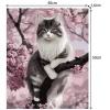 Картина по номерам Котенок Maaleo 40x50 см (5900779947870)
