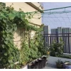 Сітка-опора для рослин Gardlov 2 x 10 м (5900779951808)