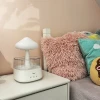 Зволожувач повітря-нічник Ruhhy 24378 (5900779952652)