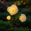 Садовий світильник на сонячній батареї Троянда Gardlov 3 шт (5900779954915)