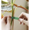 Стрічка-липучка для кріплення рослин Gardlov 1x500 см (5900779955097)