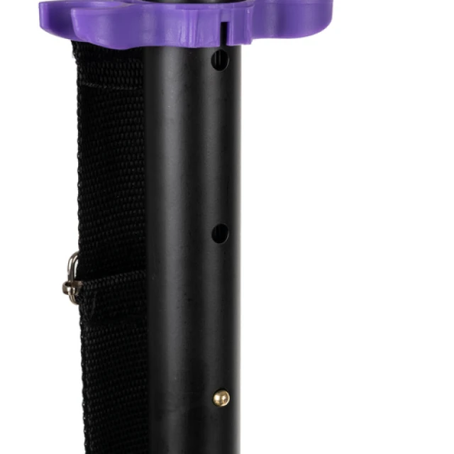 Самокат Kruzzel Spidoo складаний міський з колесами 200 мм Purple (5900779955844)
