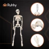 Декоративний скелет Ruhhy 40 см (5900779956957)