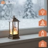 Фонарик светодиодный рождественский Ruhhy Copper (5900779961005)