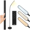 Торшер Izoxis LED 180 см з пультом ДК і таймером Black (5900779961630)