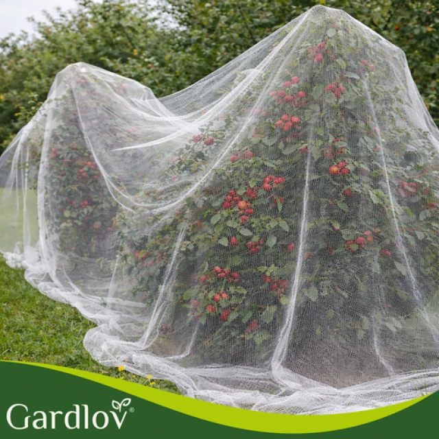 Захисна сітка для грядки Gardlov 3x6 м (5900779963818)