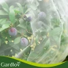 Захисна сітка для грядки Gardlov 3x6 м (5900779963818)