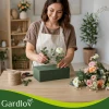 Губка флористична Gardlov 23x11x8 см 20 шт (5900779964242)