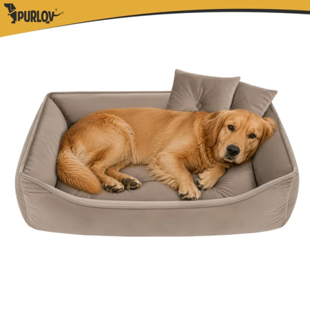 Лежак для собак/котів Purlov 70x50 см Beige (5900779966079)