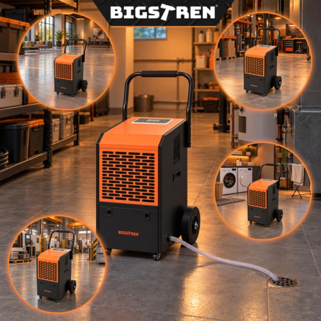 Осушувач повітря промисловий Bigstren 650 Вт 50 л/24 год (5900779967373)