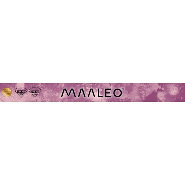 Папка для документів Maaleo A4 24 відділення (5900779970007)