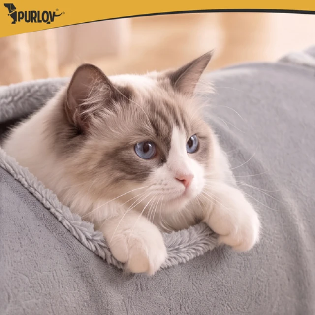 Іграшка для котів Purlov інтерактивний тунель 120 см (5900779990036)