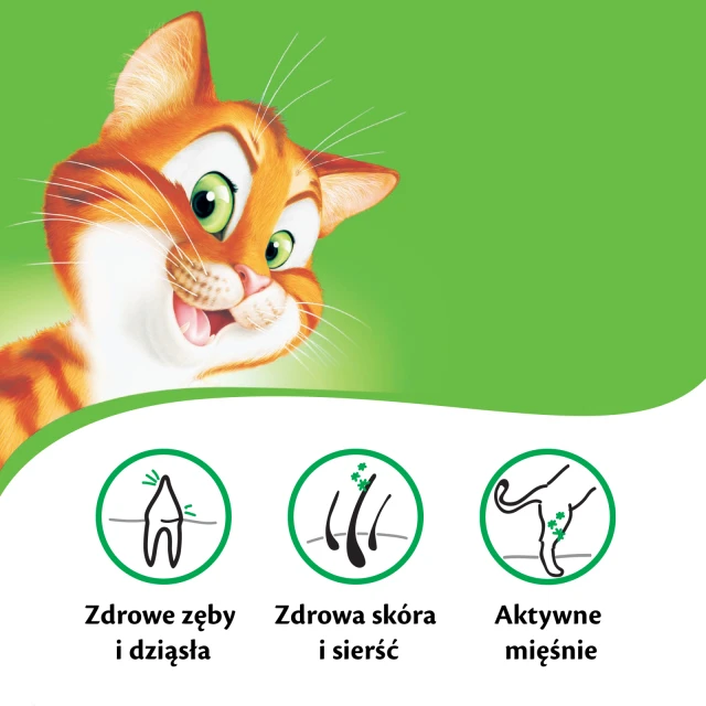 Сухий корм для котів Kitekat з яловичиною і овочами 12 кг (5900951013065)