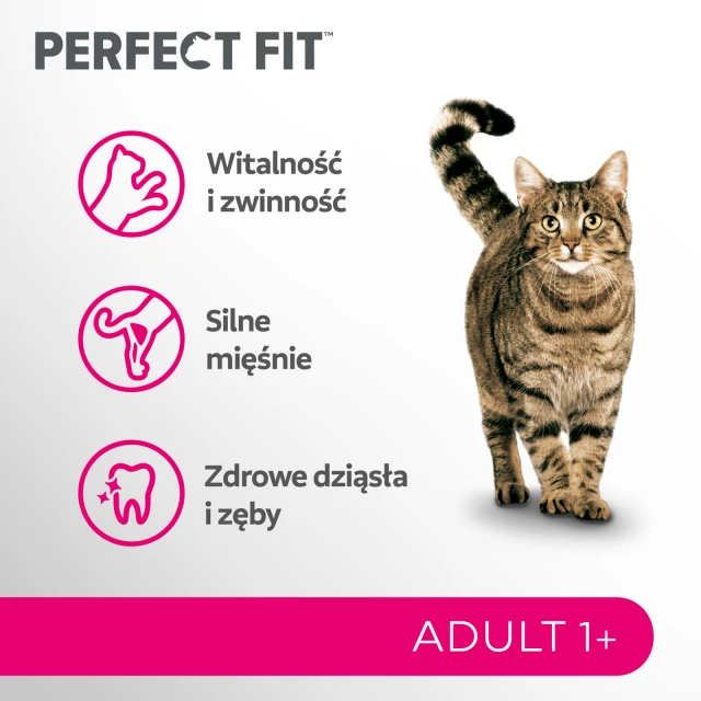 Сухий корм для котів Perfect Fit Active 1+ з яловичиною 7 кг (5900951307898)