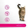 Сухий корм для котів Perfect Fit Active 1+ з яловичиною 7 кг (5900951307898)