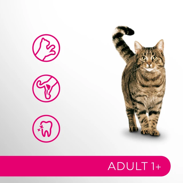 Сухий корм для котів Perfect Fit Active 1+ з яловичиною 7 кг (5900951307898)