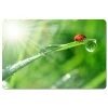 Килимок для миші Esperanza Foto Mix EA133 (5901299901984)