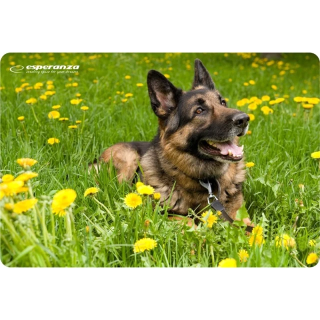 Килимок для миші Esperanza Foto Mix EA133 (5901299901984)