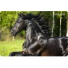 Килимок для миші Esperanza Foto Mix EA133 (5901299901984)