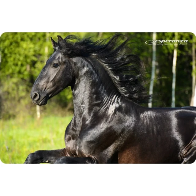 Килимок для миші Esperanza Foto Mix EA133 (5901299901984)