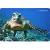Килимок для миші Esperanza Foto Mix EA133 (5901299901984)