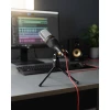 Мікрофон Esperanza Studio Pro EH182 Black (5901299947395)