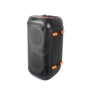 Портативна колонка Esperanza Singer EP156 з караоке Bluetooth FM LED RGB (5901299961193)