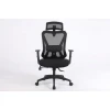 Ергономічне офісне крісло ActiveJet T5 Black (5901443124054)