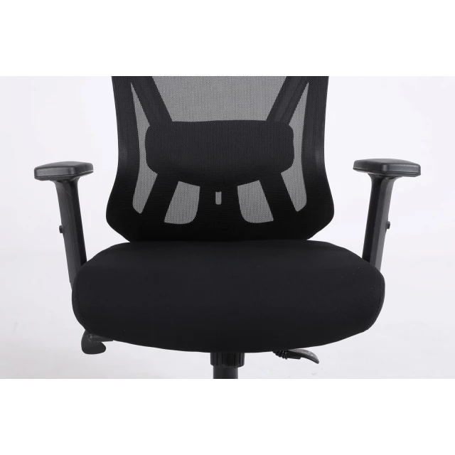 Ергономічне офісне крісло ActiveJet T5 Black (5901443124054)