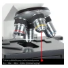 Микроскоп DELTA optical BioStage II (5901691633100)