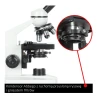 Микроскоп DELTA optical BioStage II (5901691633100)