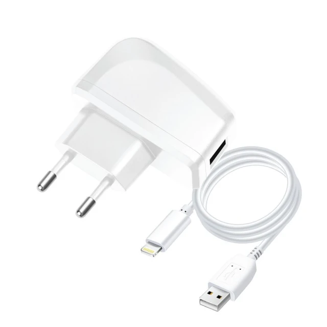 Сетевое зарядное устройство Blue Star Lite USB A 1A 5W + кабель USB A to Lightning White (5901737411518)