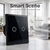 Вимикач світла сенсорний Qoltec 2-канальний Wi-Fi Timer Tuya Black (5901878527123)