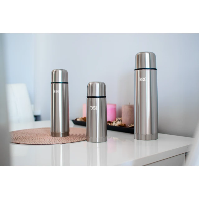 Термос Teesa 500ml (TSA0003)