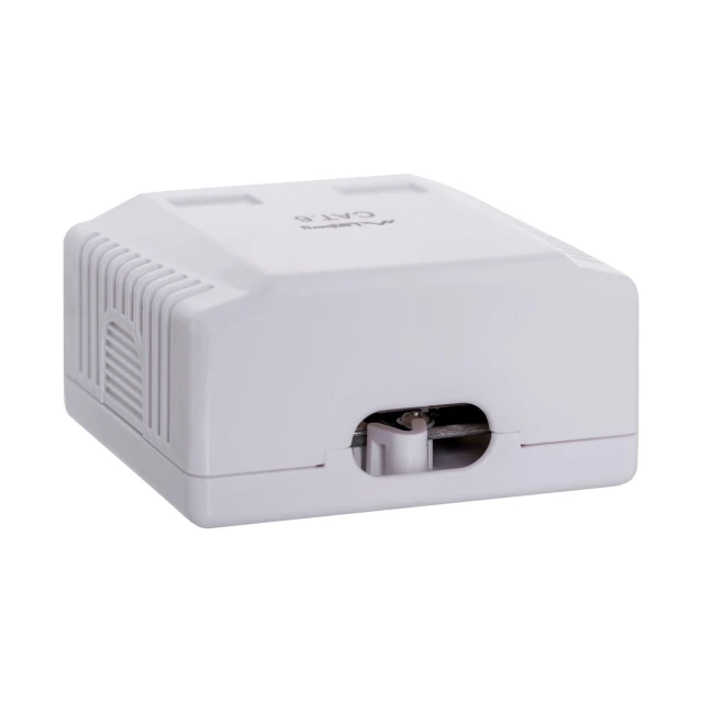 Розетка накладна Lanberg OU6-0002-W RJ-45 cat. 6 UTP подвійна White (5901969404258)