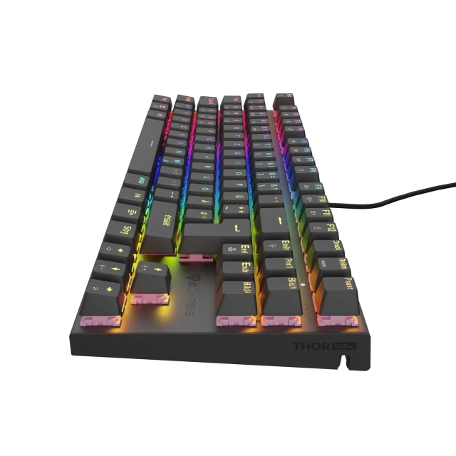 Клавіатура ігрова Genesis USB німецька розкладка Black (5901969432992)
