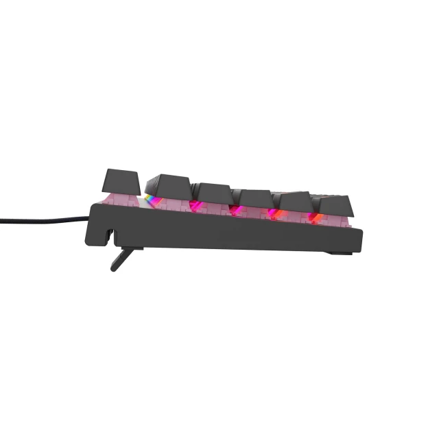 Клавіатура ігрова Genesis USB німецька розкладка Black (5901969432992)
