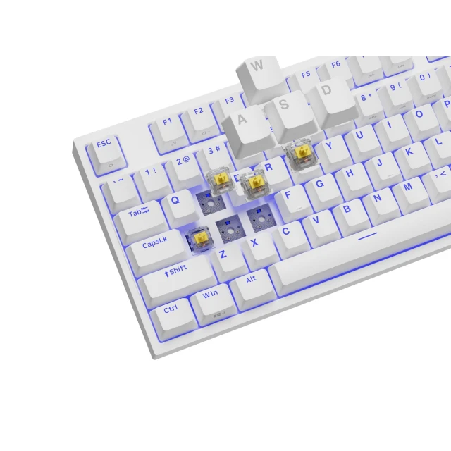 Клавиатура Genesis Thor 404 TKL игровая USB US раскладка White (5901969443202)