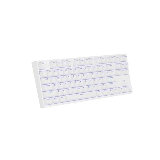 Клавиатура Genesis Thor 404 TKL игровая USB US раскладка White (5901969443202)