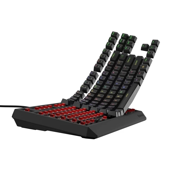 Клавіатура Genesis Thor 230 TKL ігрова USB US розкладка Black (5901969443271)