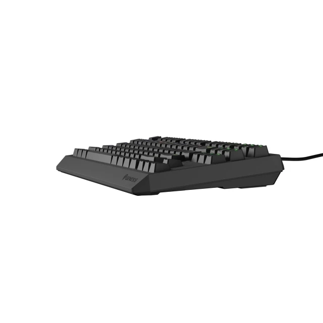 Клавіатура Genesis Thor 230 TKL ігрова USB US розкладка Black (5901969443271)