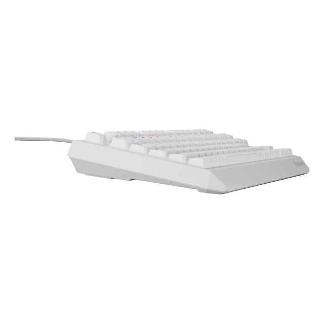 Клавиатура Genesis Thor 230 TKL игровая USB US раскладка White (5901969443288)