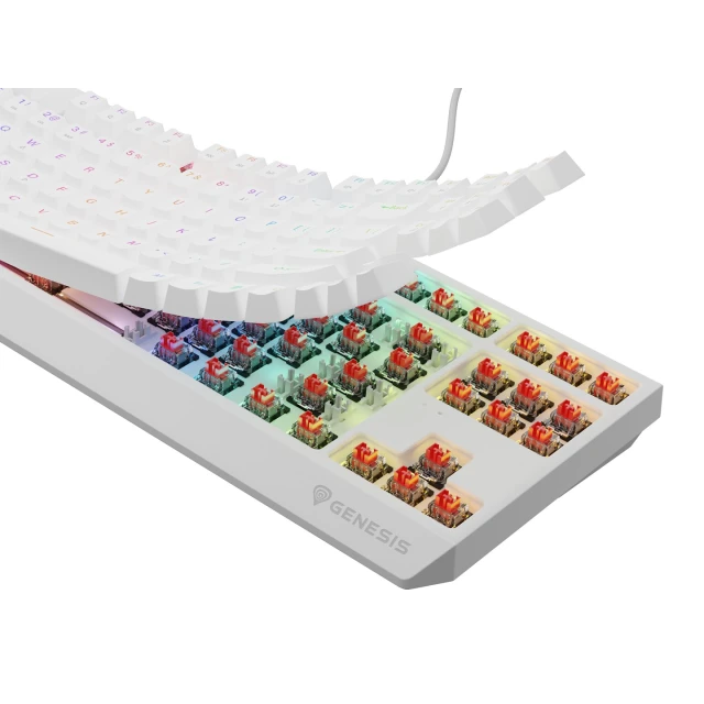 Клавиатура Genesis Thor 230 TKL игровая USB US раскладка White (5901969443288)