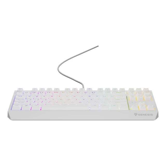 Клавиатура Genesis Thor 230 TKL игровая USB US раскладка White (5901969443288)