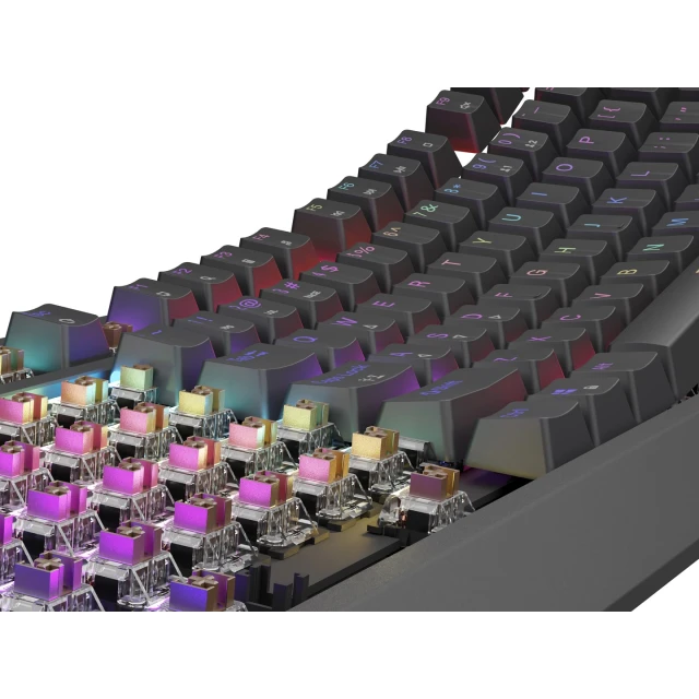 Клавіатура Genesis Thor 230 TKL ігрова USB US розкладка Black (5901969443295)